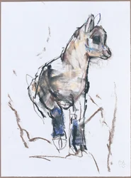 Jeune bouquetin