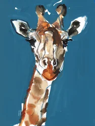 Girafe Masai, 2018