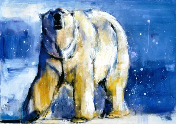 Aurores boréales, 1998