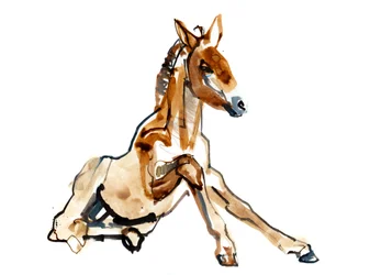 Poulain Ocre (Przewalski), 2013 (encre sennelier, aquarelle et gouache)