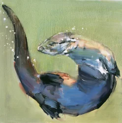 Loutre, 2003