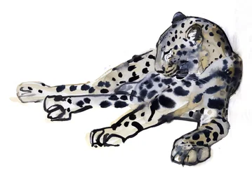 Recliné (léopard arabe), 2008