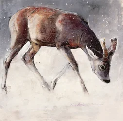 Chevreuil, Hiver, 2000