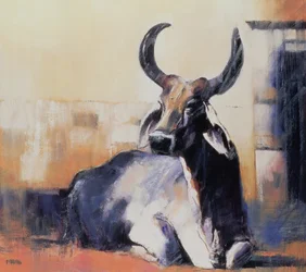 Vache Sacrée, Bhuj, 1996
