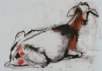 Chèvre Assise, 1998