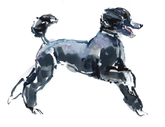 Classe pure, 2013 (aquarelle et gouache sur papier)