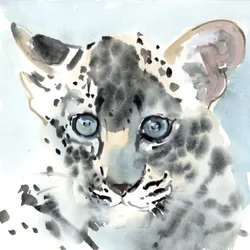 Timide, 2015