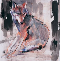 Loup assis