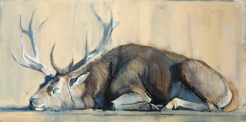 Cerf, 2014