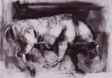 Le taureau blanc (étude), 1998