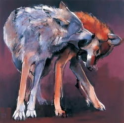 Deux loups