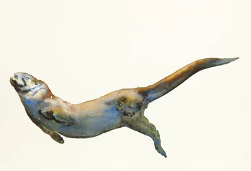Velours, 2014