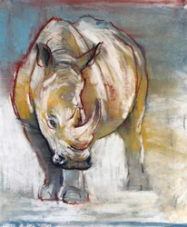 Rhinocéros blanc, Ol Pejeta, 2018