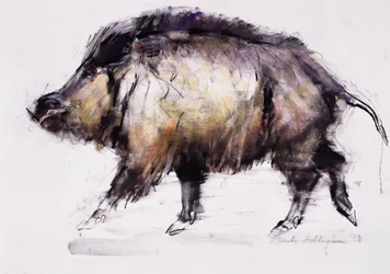 Sanglier, 1999