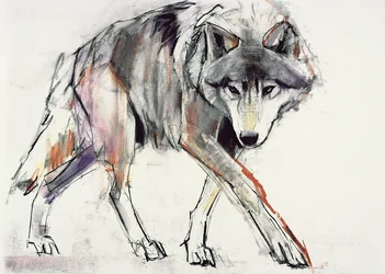 Loup