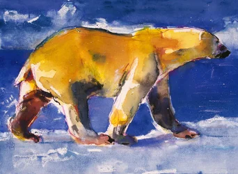 Ours jaune, 1999
