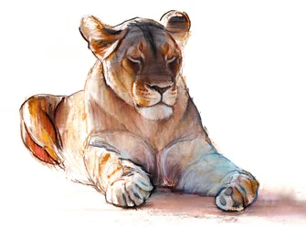 Lionne yogi, 2019