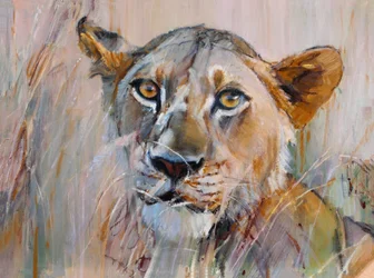 Jeune lion dans l