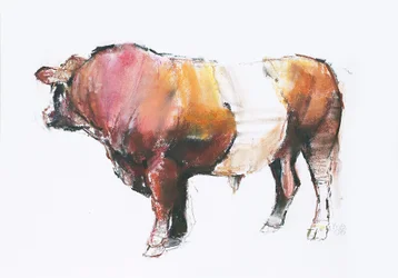 Zeus (Regardant ailleurs) 2006