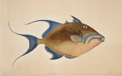 Un poisson