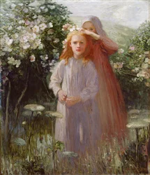 Roses sauvages