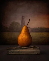 « Golden Pear » sur Book
