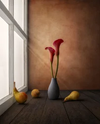 Lumière de fenêtre « Lys rouges »