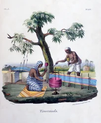 Tisserands, 1828