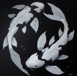 Poisson koï Yin Yang