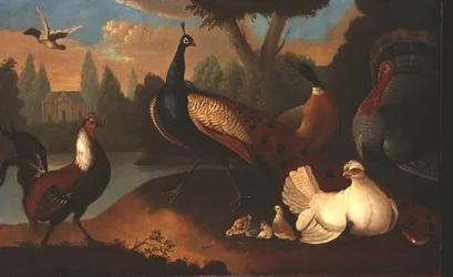 Paysage avec divers oiseaux