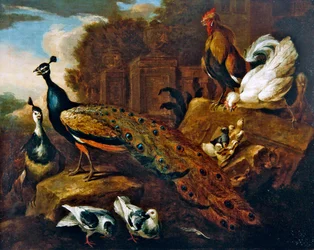 Paons, colombes et autres oiseaux, et un édifice classique