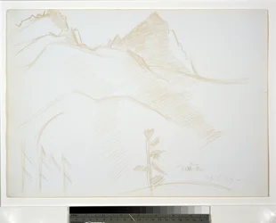 Paysage de montagne avec pins