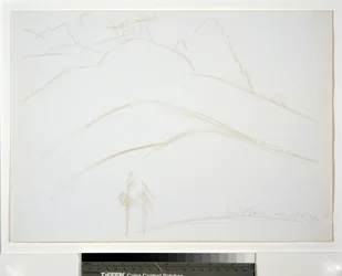 Paysage de montagne avec deux pins