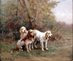 Chiens de chasse à la loutre dans un paysage