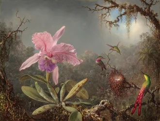 Orchidée Cattleya et Trois Colibris