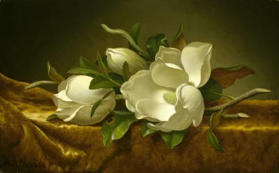 Magnolias sur tissu de velours doré