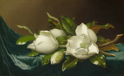 Magnolias sur tissu de velours bleu clair