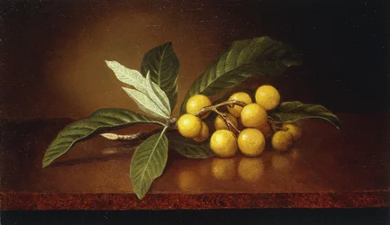 Prunes tropicales