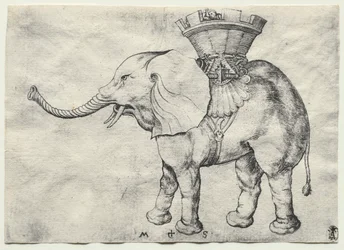 Un Éléphant avec Howdah