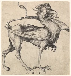 Griffon