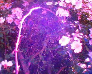Lumière du soir dans tes bras amour