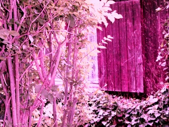 Près de la maison de jardin