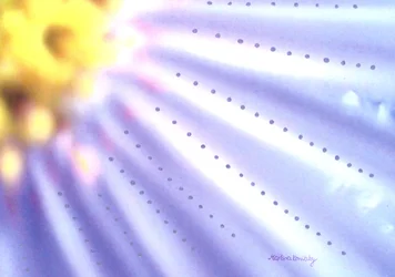 Fleur bleue