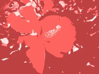 Fleur