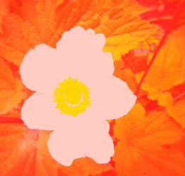 Fleur (Hommage à Andy Warhol)