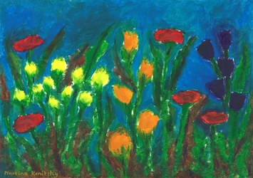 Prairie fleurie en été