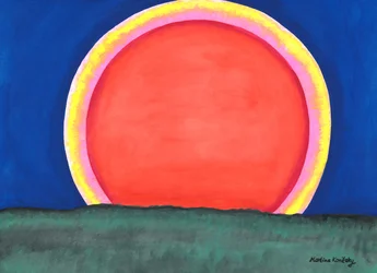 Le soleil du soir sur la forêt
