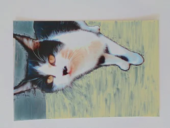 Chat