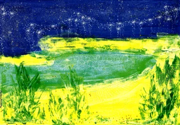 Ciel étoilé sur le lac