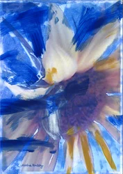 Tournesol bleu